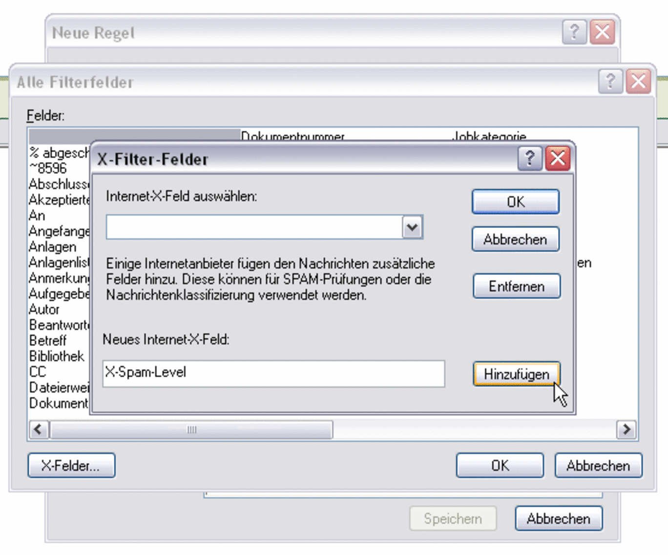 Screenshot "X-Spam-Level" eingetragen